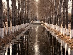 -东郊湿地公园