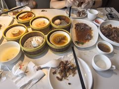 -东方早茶 海鲜•青岛菜(国信体育中心店)