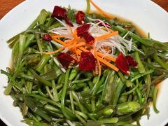 -菌自由丨野生菌火锅特色庭院餐厅(丽江古城店)