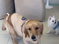 -怪兽屋·羊驼·猫咖·狗咖(俊华广场店)