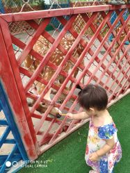 -萌宠亲子动物乐园(槐房万达店)