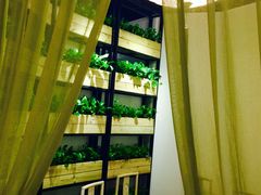 -潮堂 · 潮州菜(恒隆广场店)
