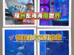 -左海海底世界