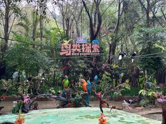 -广州长隆飞鸟乐园