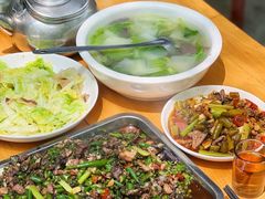 -铁山坪森林公园