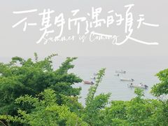 -小麦岛公园