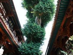 -叩齿古寺