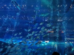 -成都浩海立方海洋公园