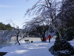 -庐山风景区花径公园