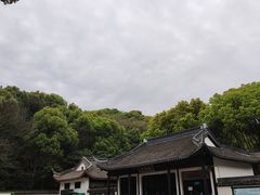 -上海佘山国家森林公园天马山园