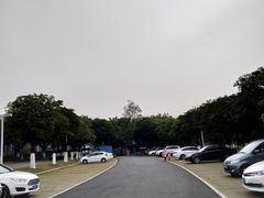 -东莞植物园