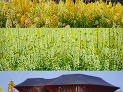 -中国天府农业博览园