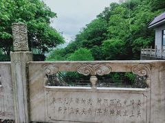 -牛背梁国家森林公园