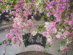 -深圳国际园林花卉博览园