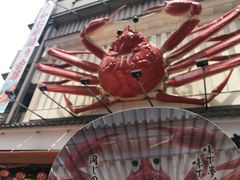 -蟹道乐(道顿堀本店)