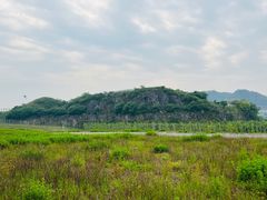 -南山植物园