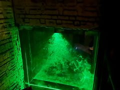 -逃脱反斗城沉浸剧情密室(北京路店)