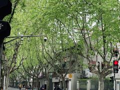 -LADY FAFA(巨鹿路陕西南路路口店)