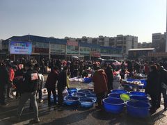 -中环花鸟鱼虫市场