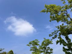 -广富林郊野公园