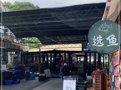 -京北渔家傲