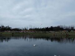 -两河城市森林公园