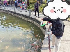 -金花茶公园