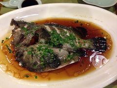 多宝鱼广式蒸-梧桐花园餐厅(新城店)