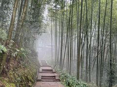 -蜀南竹海景区