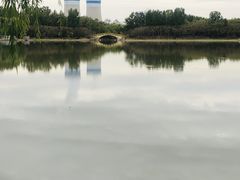 -塘沽森林公园