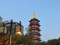 -安亭老街