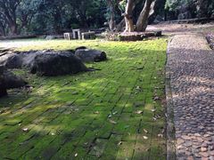 iphone_upload_pic-明秀园