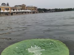 -WhaleSports户外水上运动俱乐部(朝阳公园店)