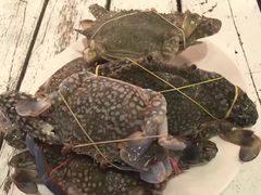 -芭提雅Amporn Seafood自助餐厅