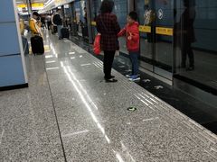 -大龙山(地铁站)