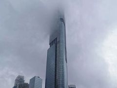 -紫峰大厦