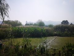 -长兴太湖图影湿地文化园