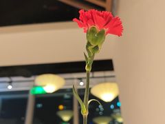 -翡翠江南(国贸商城店)