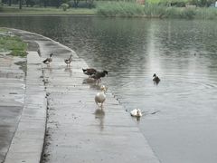 -太阳宫公园