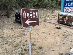 -白水寺森林公园