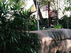 -南宁市动物园