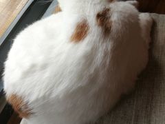 -B.O.M波姆烘焙(凤凰街店)