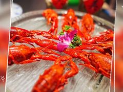 -京悦南门涮羊肉·羊蝎子火锅(田林路店)