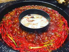 -蜀大侠火锅(建设路第五大道店)