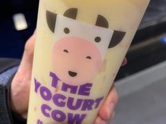 -一只酸奶牛(兰州中心店)