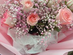 -布歌东京(常州购物中心店)