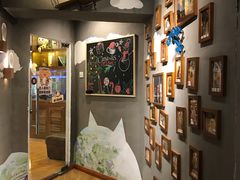 -喵园·猫主题咖啡厅·撸猫·猫咖(国贸店)