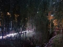 -伊犁河风景区