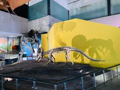 -湖南省地质博物馆