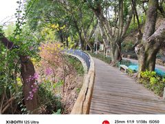 -金鸡山公园